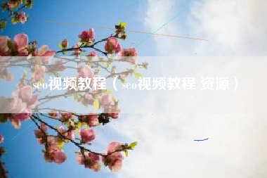 seo视频教程（seo视频教程 资源）