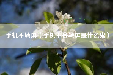 手机不转屏（手机不会转屏是什么鬼）