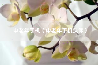 中老年手机（中老年手机头像）