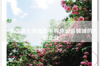 一文盘点七家日本半导体设备领域的大型企业