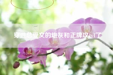 穿进总受文的炮灰和正牌攻1v1了